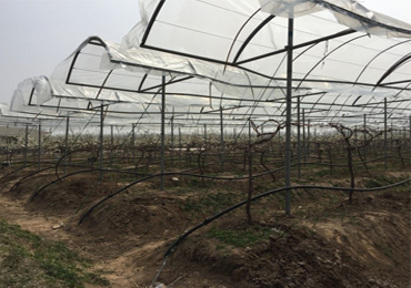 Projeto de irrigação por gotejamento fotovoltaico de 7,5kW em Xuzhou
