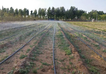 projeto de demonstração de irrigação de terras agrícolas no norte de shaanxi